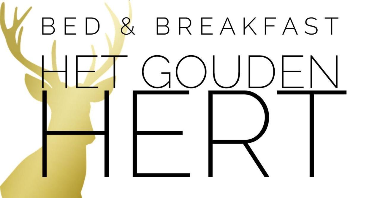 Het Gouden Hert Montfort Kültér fotó